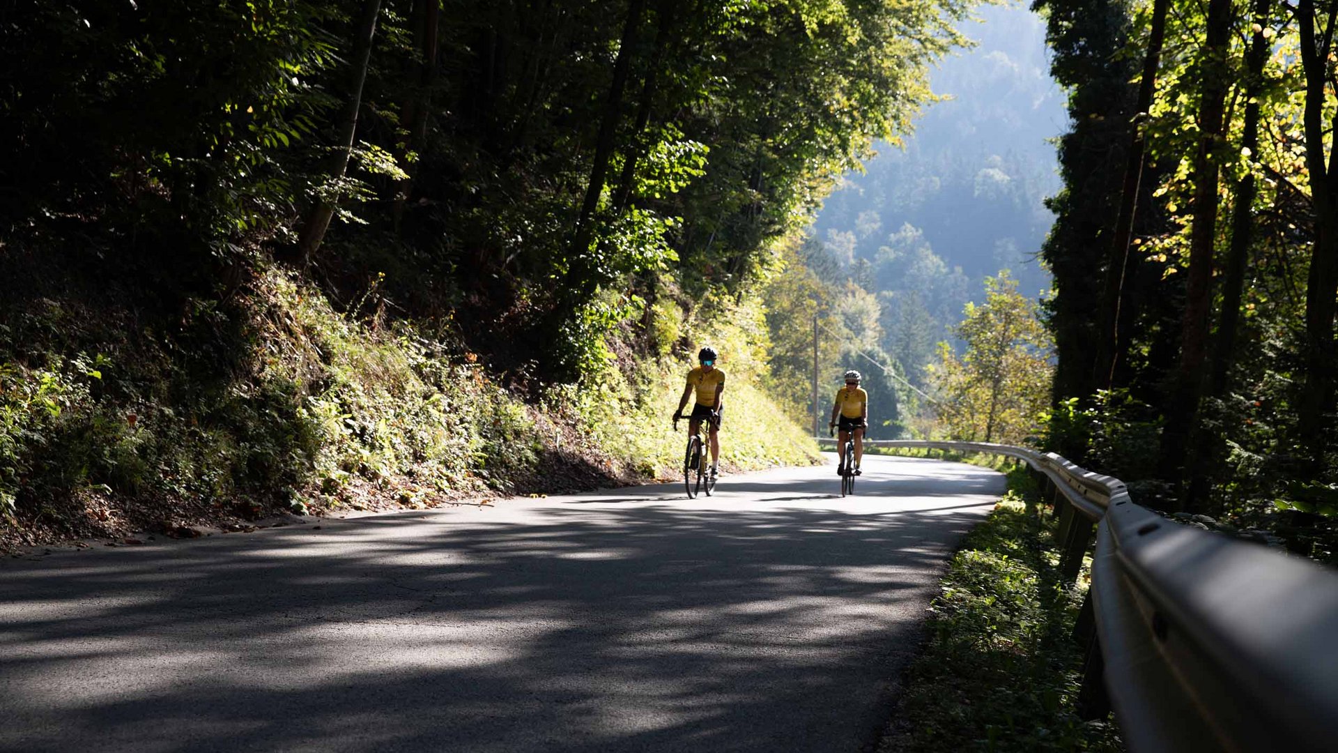Gravelbiken im Savinja-Tal © Kaja Ribezl Zwei Radfahrer fahren auf einer bewaldeten, kurvigen Straße im Sonnenlicht
