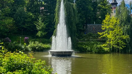 Wasserfontäne in einem Teich umgeben von Bäumen und Gras unter bewölktem Himmel