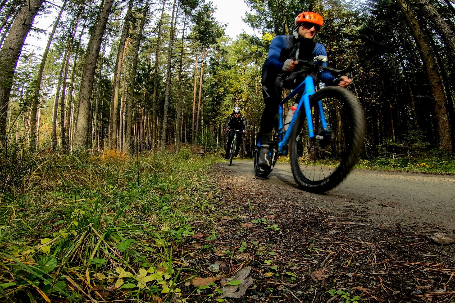 Zwei Radfahrer fahren auf einem Waldweg im Herbst.