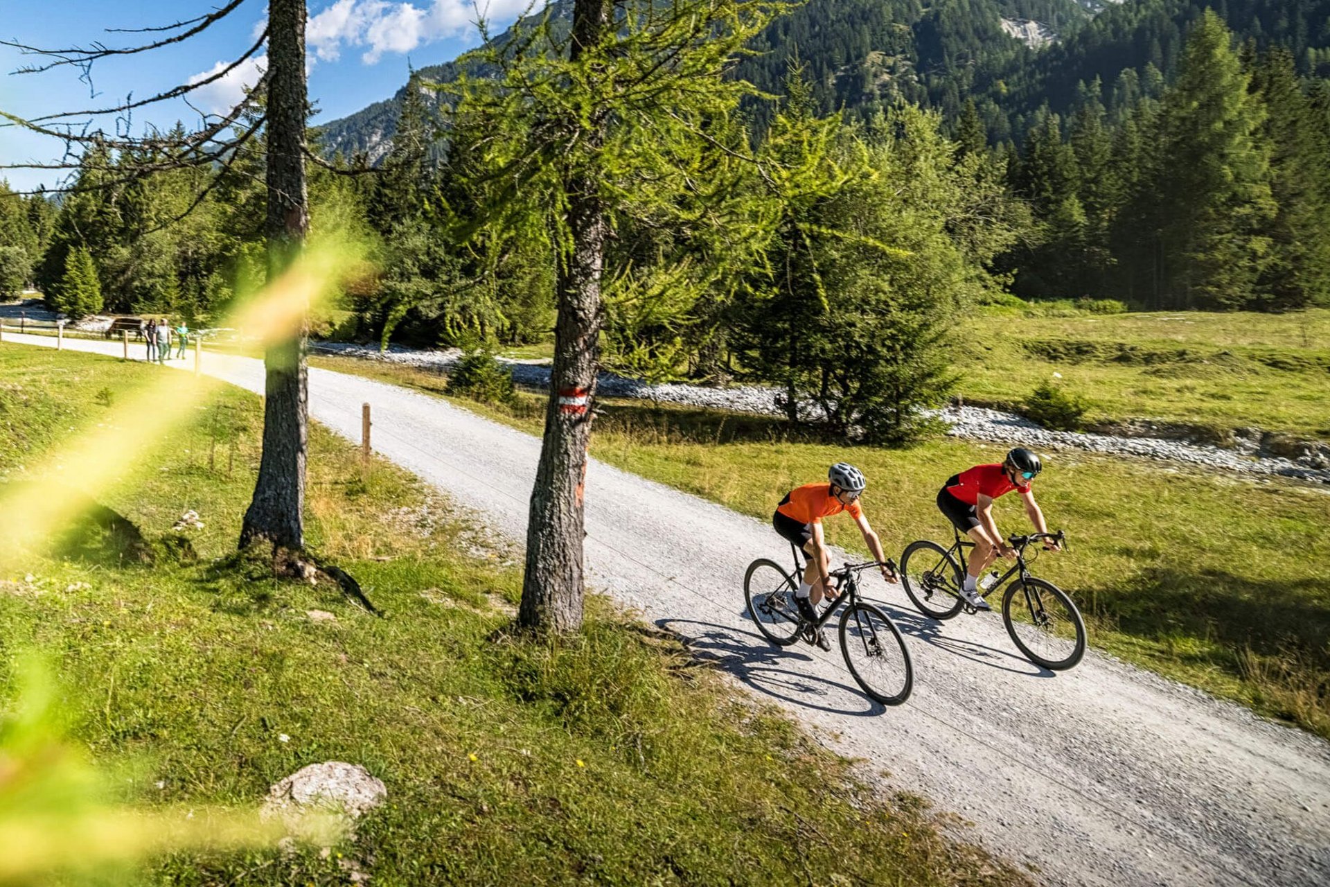 Two cyclists riding on a forest trail in the mountains under clear sky