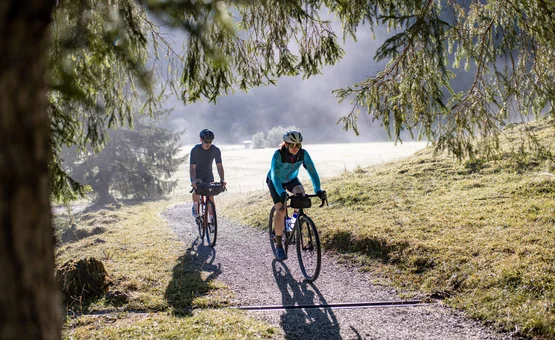 Two cyclists riding on a narrow forest path in morning light