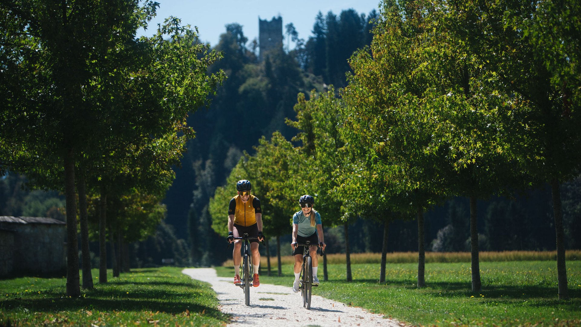 Zwei Radfahrer fahren auf einem schattigen Baumweg bei Sonnenschein