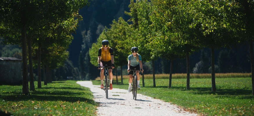 Zwei Radfahrer fahren auf einem schattigen Baumweg bei Sonnenschein