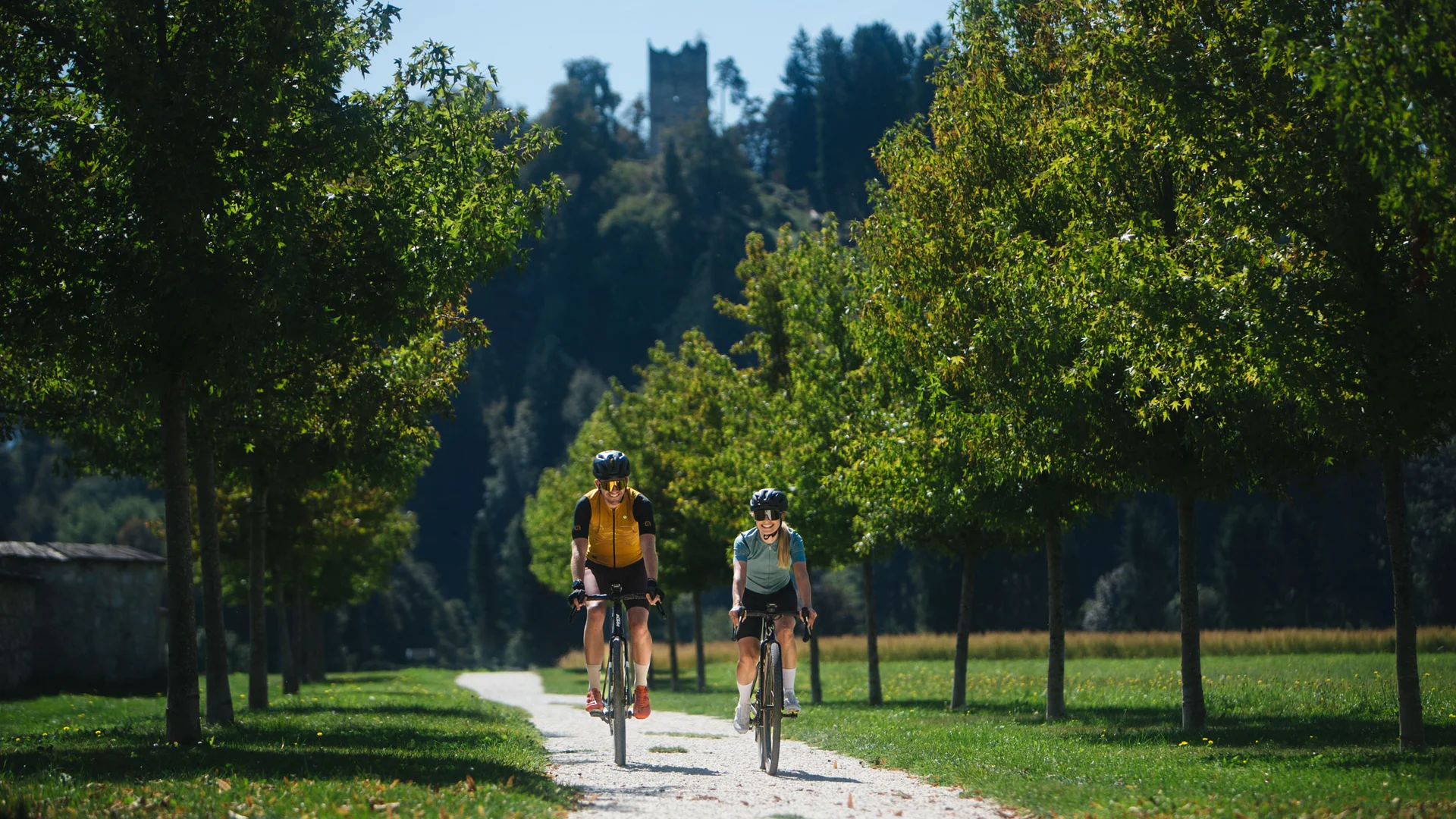 Zwei Radfahrer fahren auf einem schattigen Baumweg bei Sonnenschein