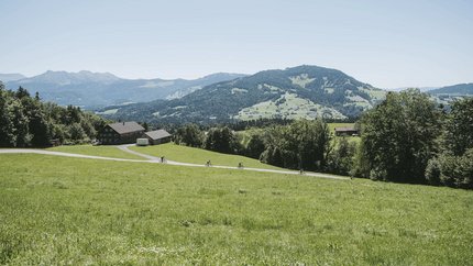 Bregenzerwald Gravel Tour © Ian Ehm - Vorarlberg Tourismus Cyclists on country road near house with mountains in background