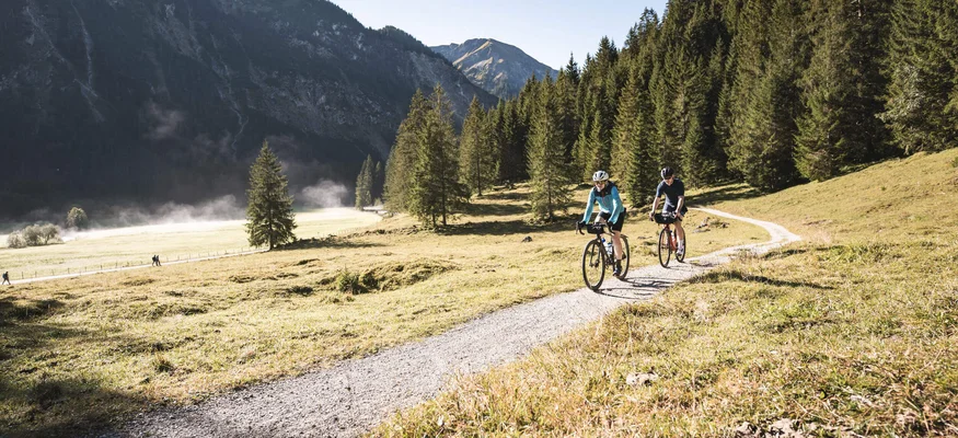 Two cyclists on mountain trail with forest and mountains in sunny weather