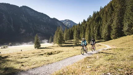 Two cyclists on mountain trail with forest and mountains in sunny weather