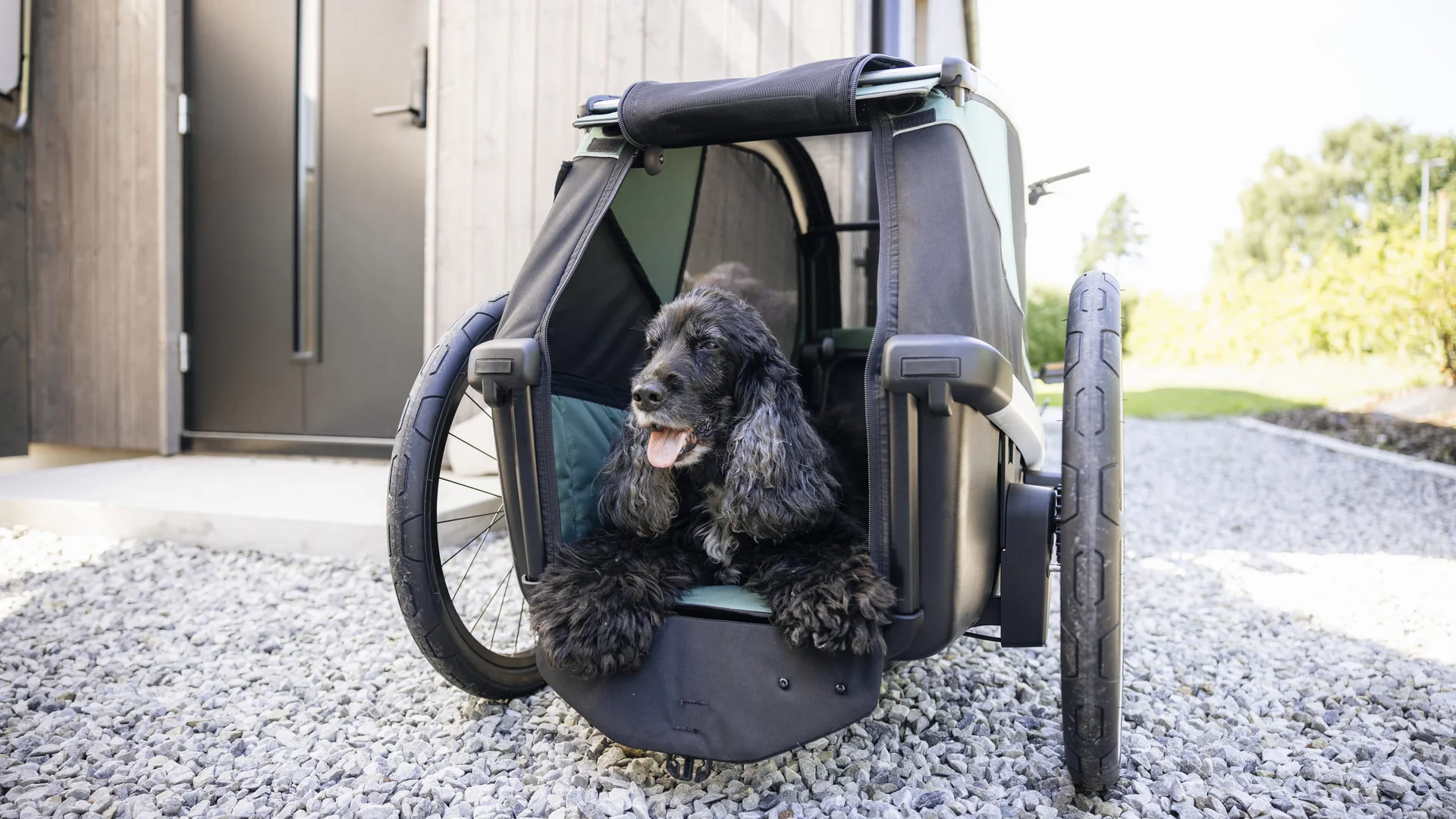 Mit dem Thule Bexey beginnt jedes Abenteuer zu zweit © Thule Schwarzer Hund sitzt in einem Fahrradanhänger auf einem Kiesweg
