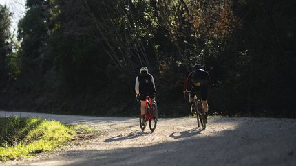 Two cyclists on a forest path surrounded by trees in sunlight