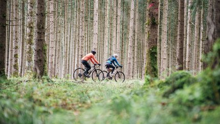 Oberbayern © Julian Rohn Zwei Radfahrer fahren durch einen dichten Nadelwald