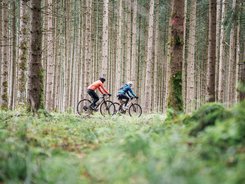 Oberbayern © Julian Rohn Zwei Radfahrer fahren durch einen dichten Nadelwald