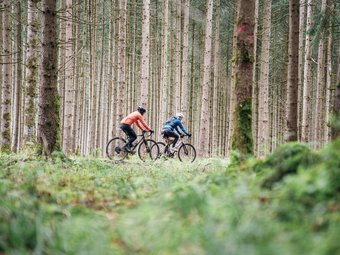 Zwei Radfahrer fahren durch einen dichten Nadelwald