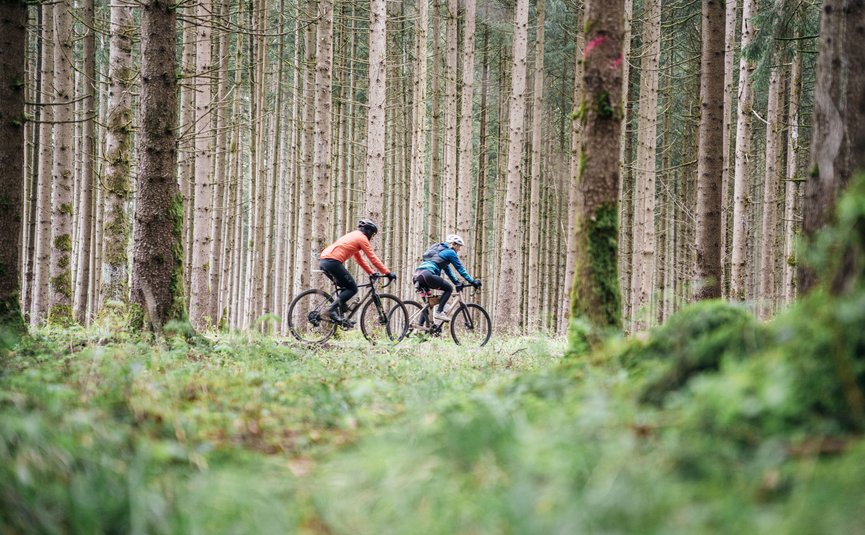 Zwei Radfahrer fahren durch einen dichten Nadelwald