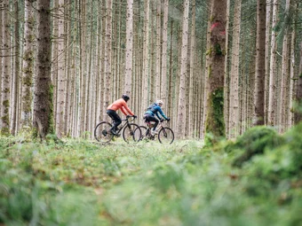 Upper Bavaria © Julian Rohn Two cyclists riding through a dense coniferous forest