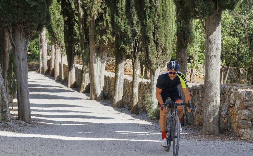 Hotel & Restaurant Casolare Le Terre Rosse ***S © Asha Balogh Ein Radfahrer fährt auf einem von Bäumen gesäumten Weg mit Steinmauer
