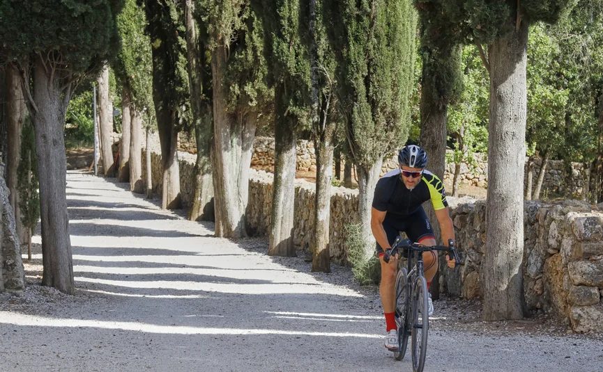 Cyclist riding on a tree-lined path with stone walls on a sunny day