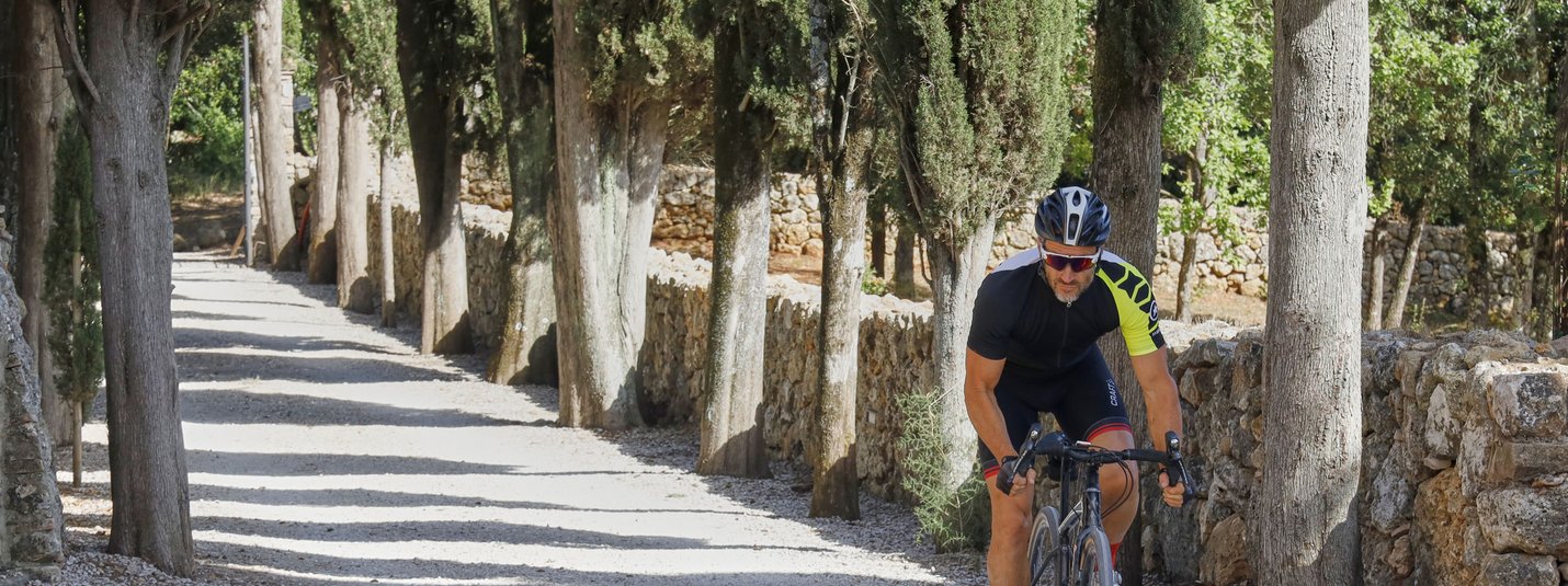 Cyclist riding on a tree-lined path with stone walls on a sunny day