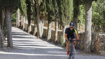 Cyclist riding on a tree-lined path with stone walls on a sunny day