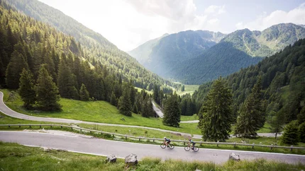 Two cyclists on mountain road with pine forest and mountains in background