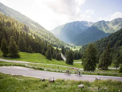 Two cyclists on mountain road with pine forest and mountains in background