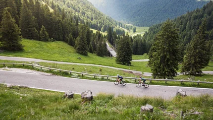 Two cyclists on mountain road with pine forest and mountains in background