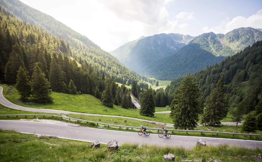Gravel bike holiday at Lake Levico © Heiko Mandl Two cyclists on mountain road with pine forest and mountains in background