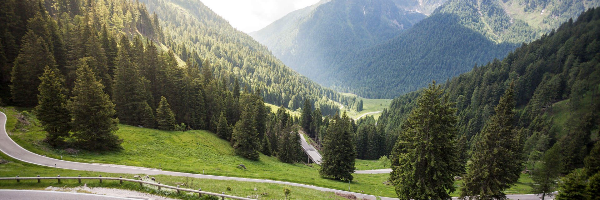 Two cyclists on mountain road with pine forest and mountains in background