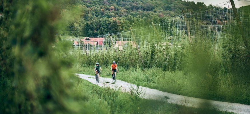 Gravelbiken im Savinja-Tal © Tobias Köhler Zwei Radfahrer fahren auf einem Weg durch grüne Landschaft und Hügel