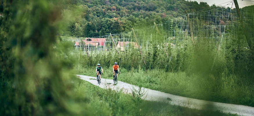 Zwei Radfahrer fahren auf einem Weg durch grüne Landschaft und Hügel