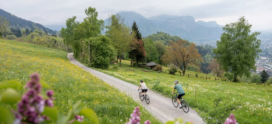 Grenzenlos graveln in Vorarlberg © Chris Gollhofer - Vorarlberg Tourismus Zwei Radfahrer auf einem Weg durch eine blühende Frühlingslandschaft mit Bergen