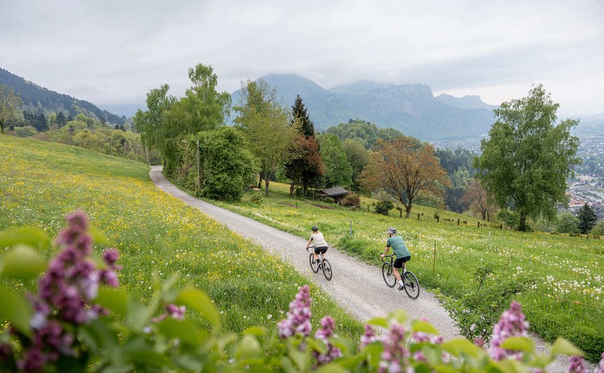 Zwei Radfahrer auf einem Weg durch eine blühende Frühlingslandschaft mit Bergen