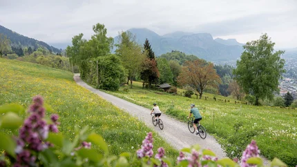Two cyclists on a path through a blooming spring landscape with mountains