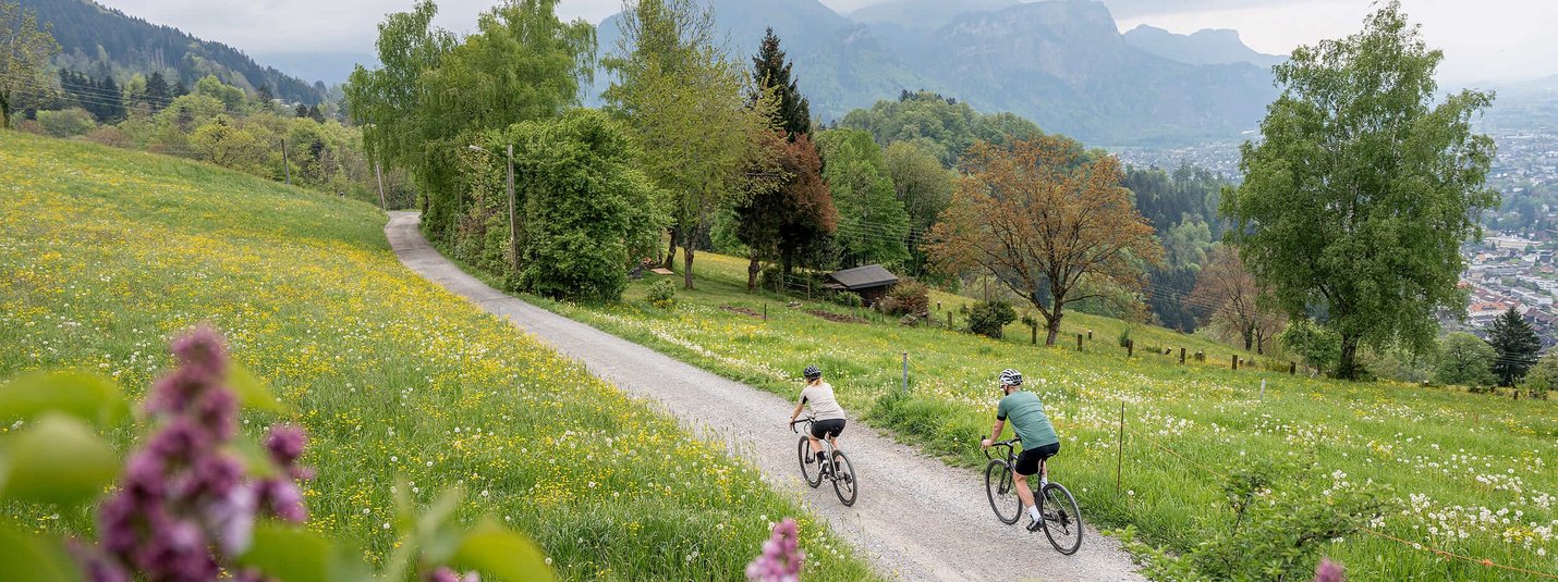 Two cyclists on a path through a blooming spring landscape with mountains