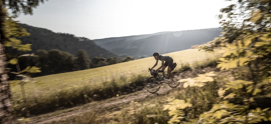 Fahrradfahrer auf einem Waldweg in einer sonnigen Landschaft