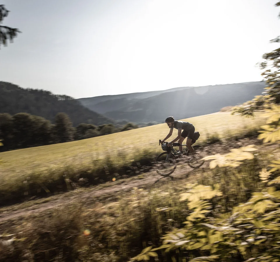 Fahrradfahrer auf einem Waldweg in einer sonnigen Landschaft