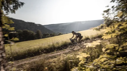 Fahrradfahrer auf einem Waldweg in einer sonnigen Landschaft