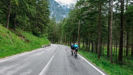 Zwei Radfahrer auf bergiger Straße durch einen Wald mit Bergen im Hintergrund