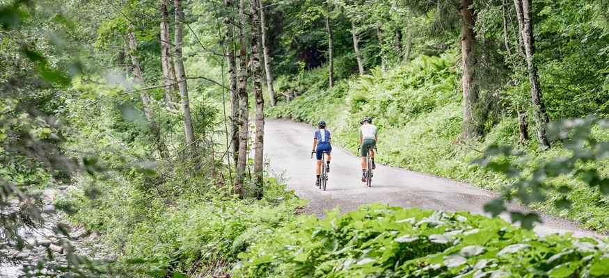 Zwei Radfahrer auf einem Waldweg entlang eines Bachs