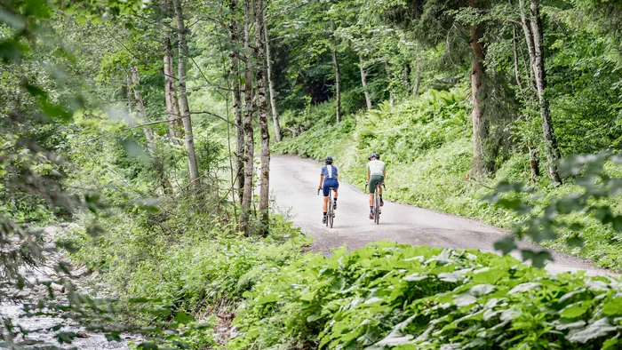 Zwei Radfahrer auf einem Waldweg entlang eines Bachs