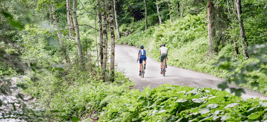 Zwei Radfahrer auf einem Waldweg entlang eines Bachs