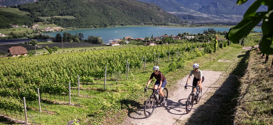 Zwei Radfahrer fahren auf einem Weg durch Weinberge mit Bergen und See im Hintergrund.