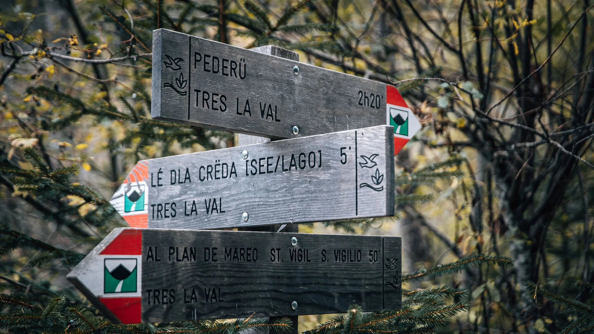 Holzwegweiser in einem bewaldeten Gebiet mit Wanderzeiten zu verschiedenen Zielen