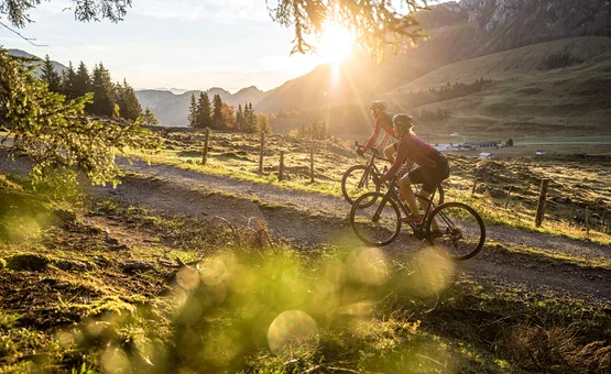 Zwei Radfahrer fahren auf einem Waldweg bei Sonnenuntergang in den Bergen