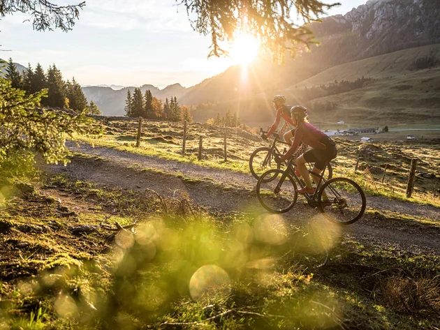 5 Gravel-Touren in der Salzburger Sportwelt, die du kennen solltest © SalzburgerLand Tourismus Zwei Radfahrer fahren auf einem Waldweg bei Sonnenuntergang in den Bergen