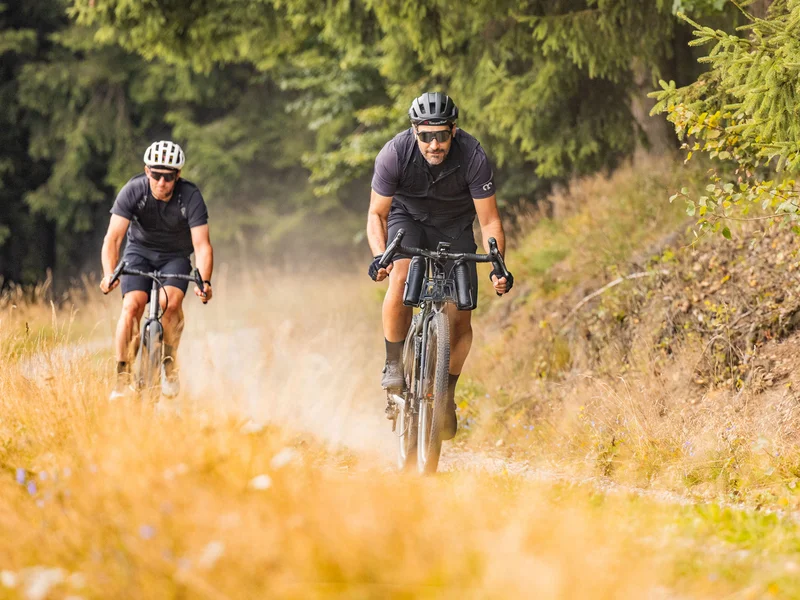 Zwei Männer fahren Mountainbikes auf einem Naturweg im Wald