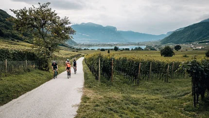 Three cyclists ride on a country road through vineyards with mountains in the background.