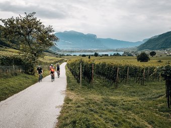 Three cyclists ride on a country road through vineyards with mountains in the background.