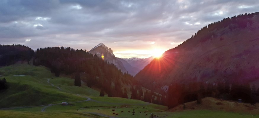 Sonnenuntergang in einem Tal mit Bergen und Weiden mit Kühen