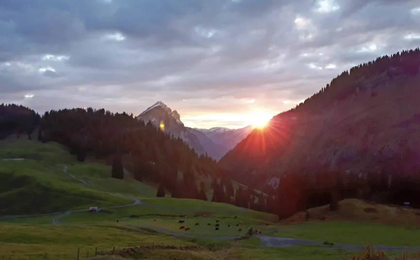 Sonnenuntergang in einem Tal mit Bergen und Weiden mit Kühen