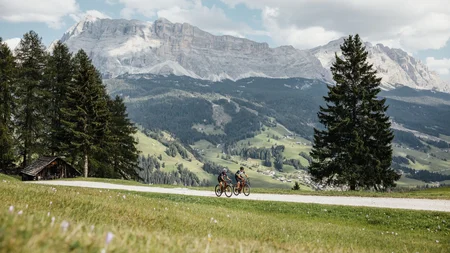 Zwei Radfahrer auf einem Weg in den Bergen mit grünen Wiesen und Tannen